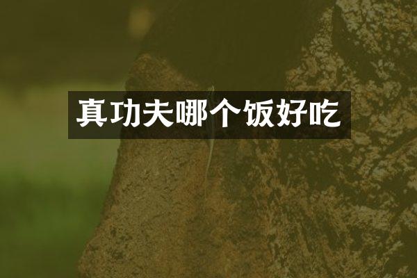 真功夫哪个饭好吃