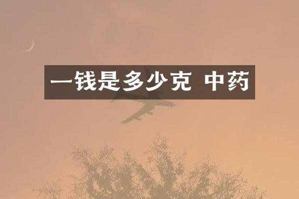 一钱是多少克 中药