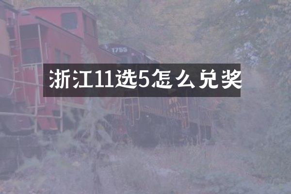 浙江11选5怎么兑奖