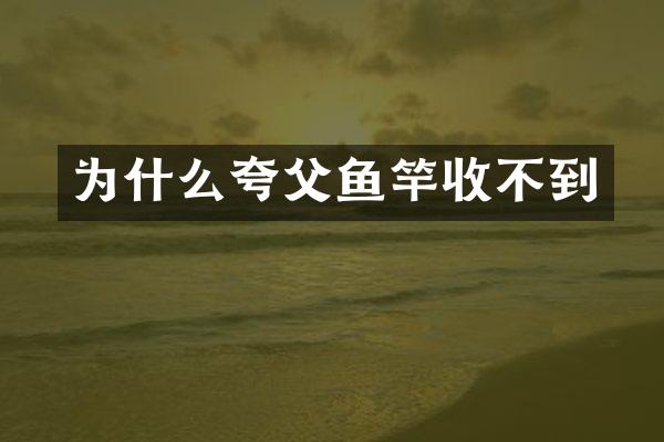 为什么夸父鱼竿收不到