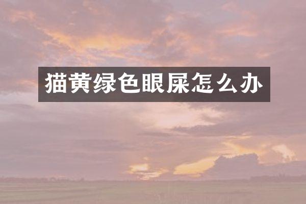 猫黄绿色眼屎怎么办