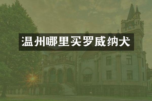 温州哪里买罗威纳犬