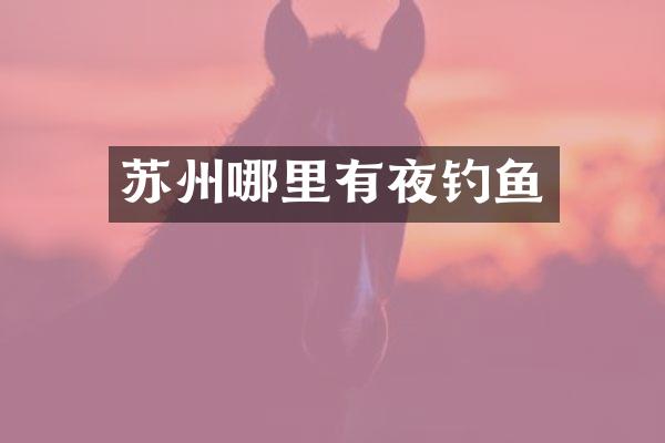 苏州哪里有夜钓鱼