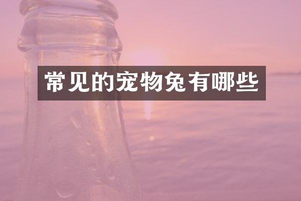 常见的宠物兔有哪些