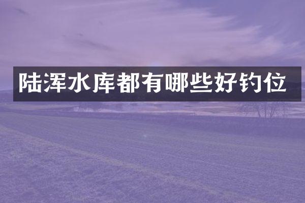 陆浑水库都有哪些好钓位