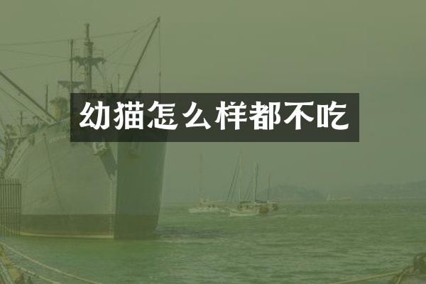 幼猫怎么样都不吃