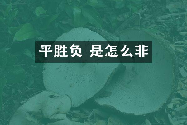 平胜负 是怎么非