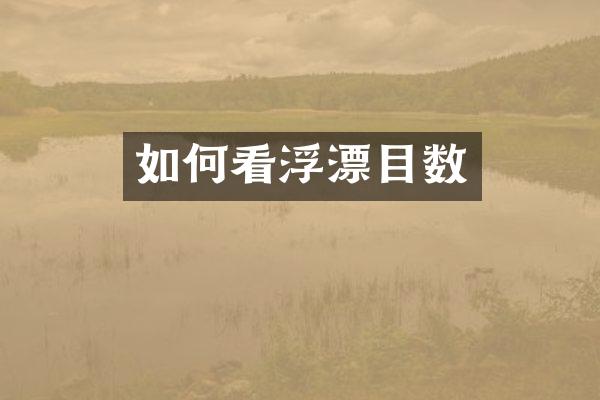如何看浮漂目数