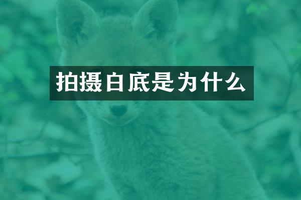 拍摄白底是为什么