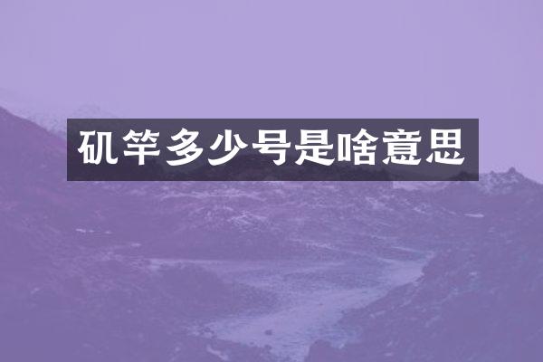 矶竿多少号是啥意思