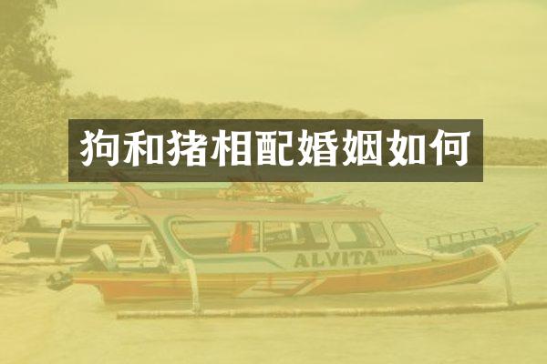 狗和猪相配婚姻如何