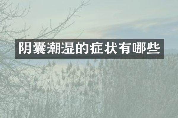 阴囊潮湿的症状有哪些