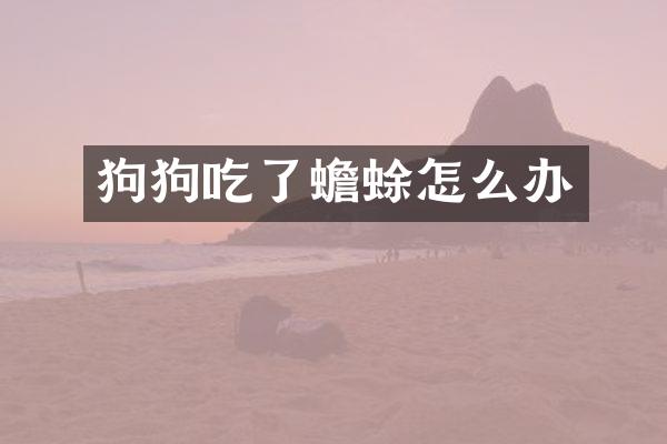 狗狗吃了蟾蜍怎么办