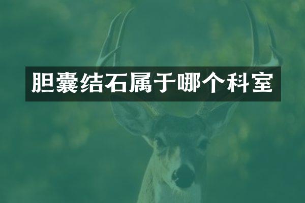 胆囊结石属于哪个科室