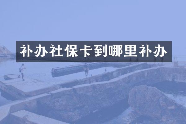补办社保卡到哪里补办