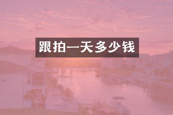 跟拍一天多少钱