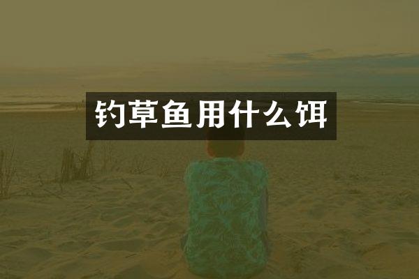 钓草鱼用什么饵