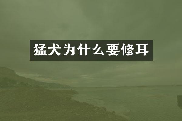 猛犬为什么要修耳