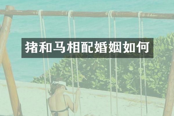 猪和马相配婚姻如何