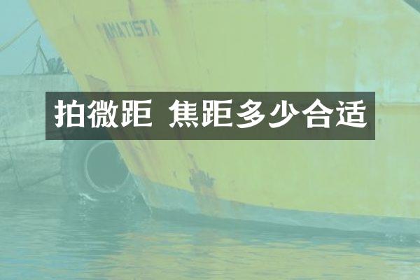 拍微距 焦距多少合适