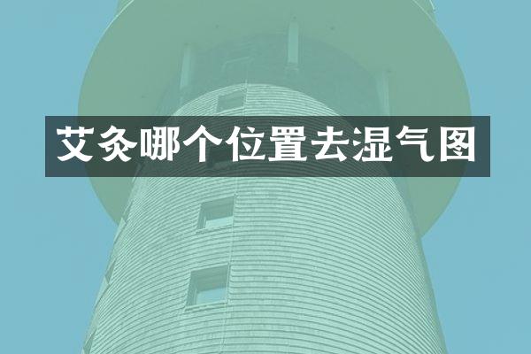 艾灸哪个位置去湿气图