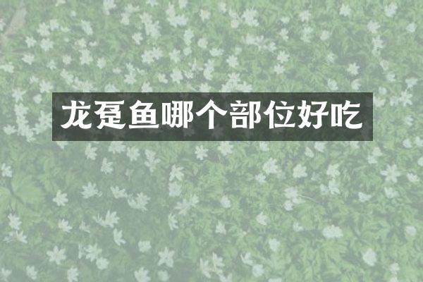 龙趸鱼哪个部位好吃