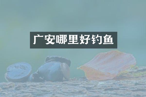 广安哪里好钓鱼