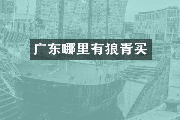 广东哪里有狼青买