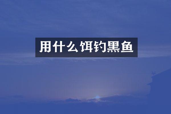 用什么饵钓黑鱼