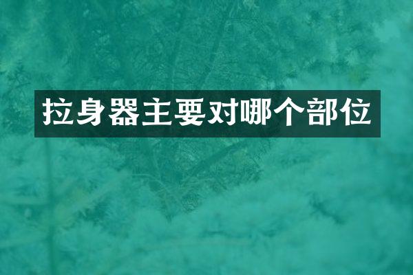拉身器主要对哪个部位