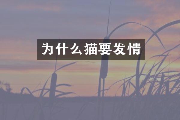 为什么猫要发情