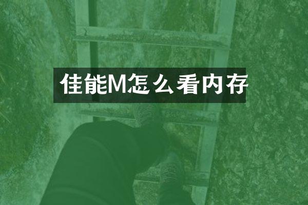 佳能M怎么看内存