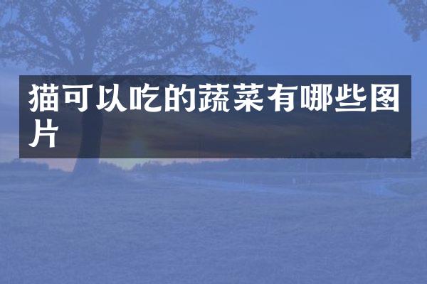 猫可以吃的蔬菜有哪些图片