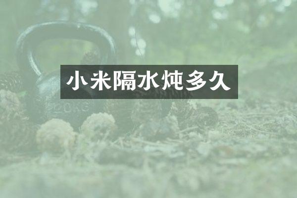 小米隔水炖多久