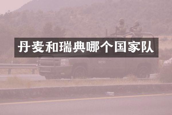 丹麦和瑞典哪个国家队