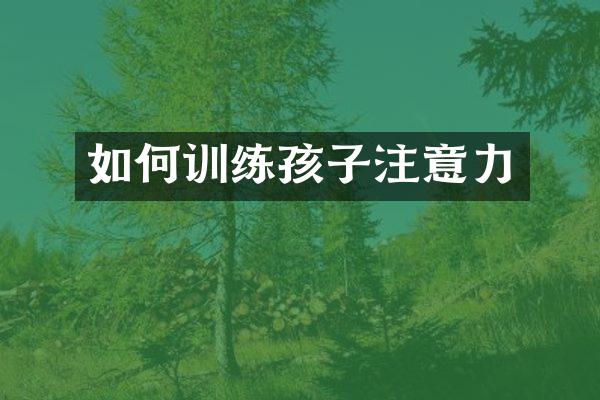 如何训练孩子注意力
