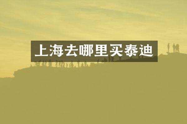 上海去哪里买泰迪