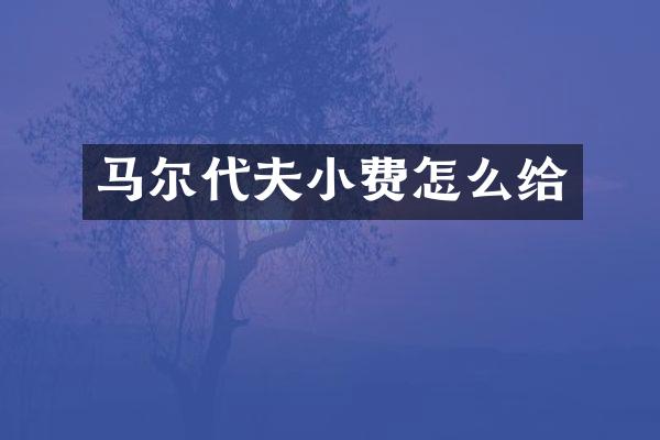 马尔代夫小费怎么给