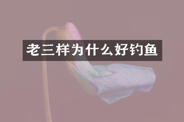 老三样为什么好钓鱼