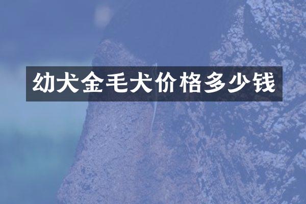 幼犬金毛犬价格多少钱