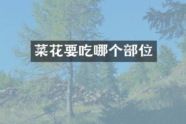 菜花要吃哪个部位