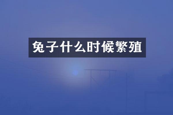 兔子什么时候繁殖