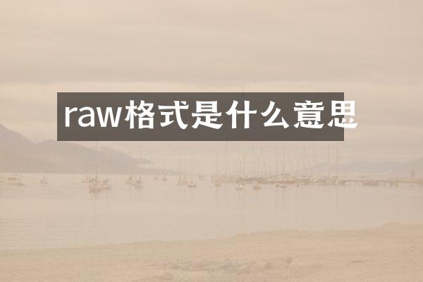 raw格式是什么意思