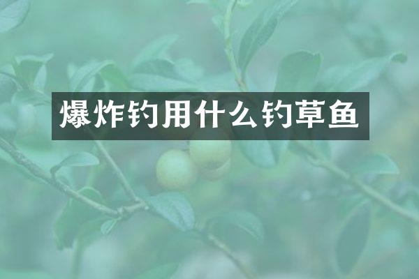 爆炸钓用什么钓草鱼