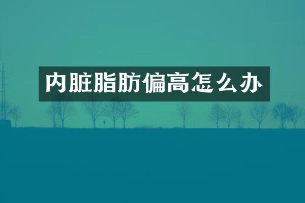 内脏脂肪偏高怎么办