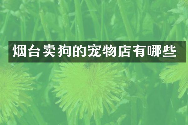 烟台卖狗的宠物店有哪些