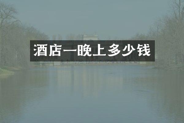 酒店一晚上多少钱