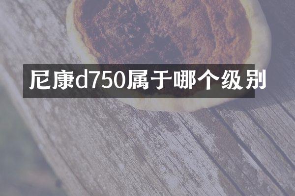 尼康d750属于哪个级别