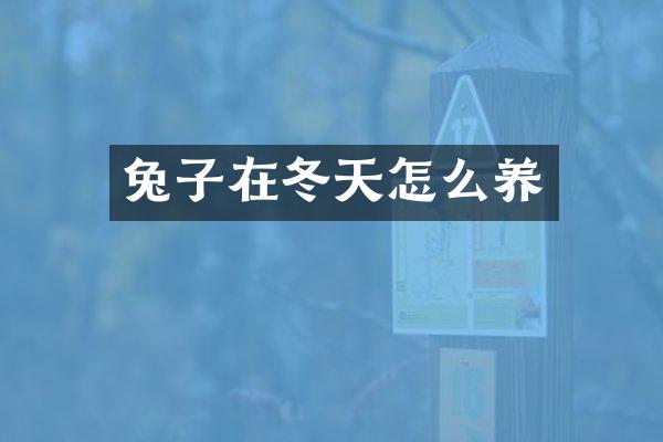 兔子在冬天怎么养