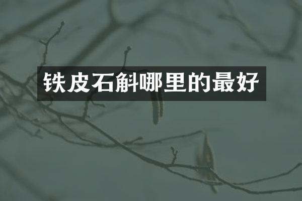 铁皮石斛哪里的最好